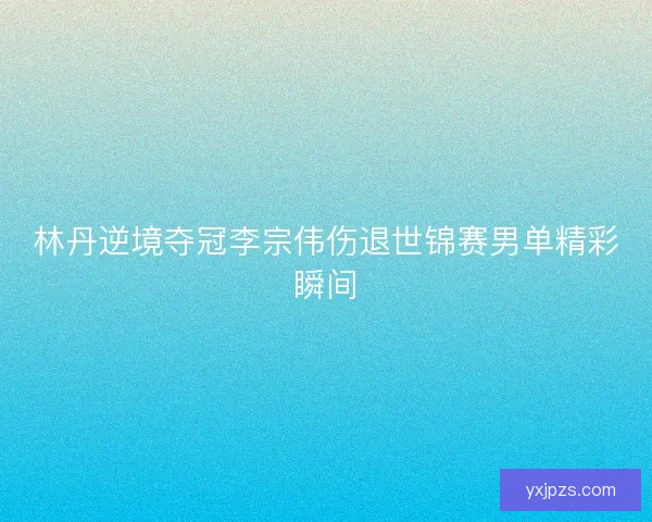 林丹逆境夺冠李宗伟伤退世锦赛男单精彩瞬间